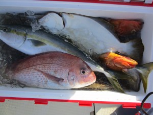 兼六丸 釣果
