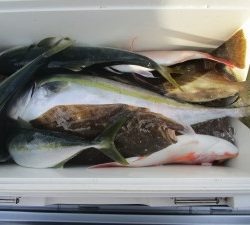 兼六丸 釣果
