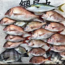 網屋丸 釣果