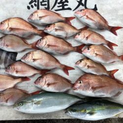 網屋丸 釣果