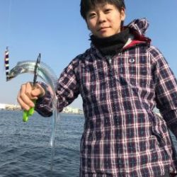 シーマジカル 釣果