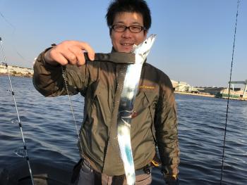 シーマジカル 釣果