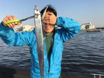 シーマジカル 釣果