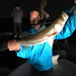 シーマジカル 釣果