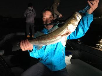 シーマジカル 釣果