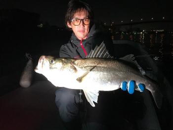 シーマジカル 釣果