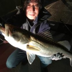 シーマジカル 釣果