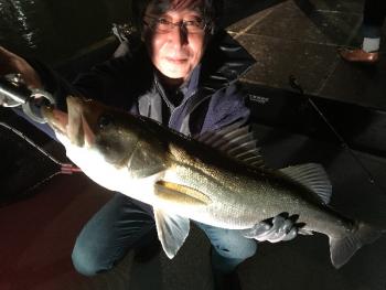 シーマジカル 釣果