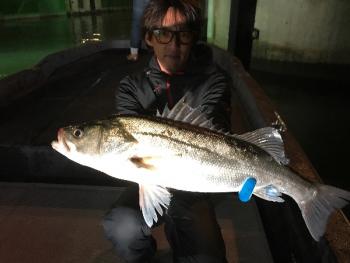 シーマジカル 釣果