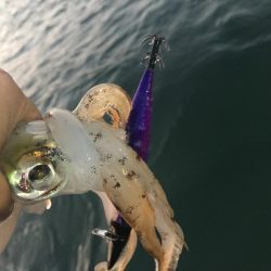 白墨丸 釣果