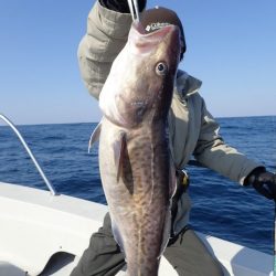 Aquanaut（アクアノート） 釣果