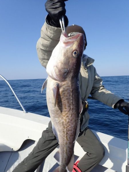 Aquanaut（アクアノート） 釣果