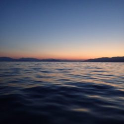 Aquanaut（アクアノート） 釣果