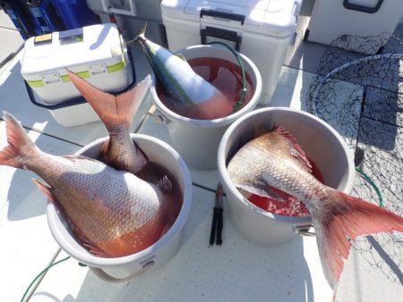 Aquanaut(アクアノート) 釣果