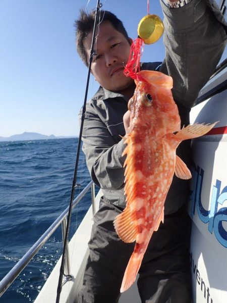 Aquanaut（アクアノート） 釣果