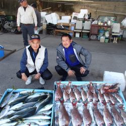 久六釣船 釣果