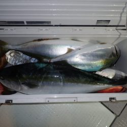 Aquanaut(アクアノート) 釣果