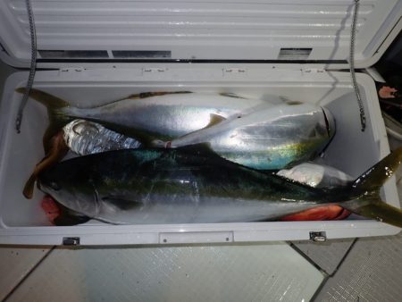 Aquanaut(アクアノート) 釣果