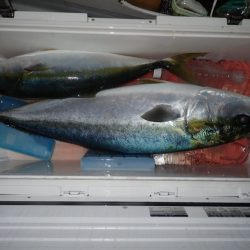 Aquanaut(アクアノート) 釣果