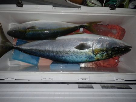 Aquanaut(アクアノート) 釣果