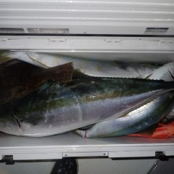 Aquanaut(アクアノート) 釣果