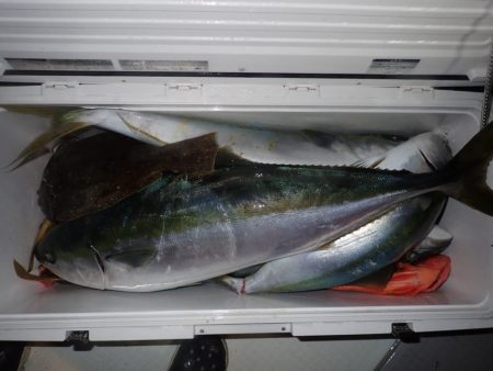 Aquanaut(アクアノート) 釣果