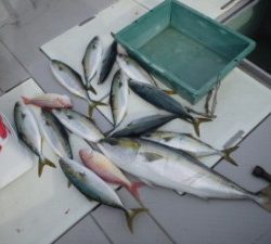 えすぽあ 釣果