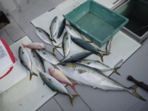 えすぽあ 釣果