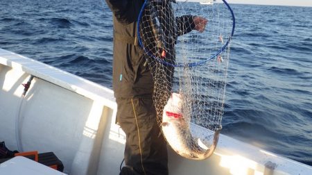 みどり丸 釣果