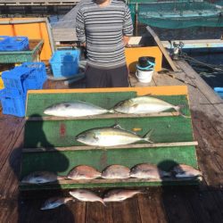 みうら海王 釣果