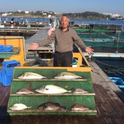 みうら海王 釣果