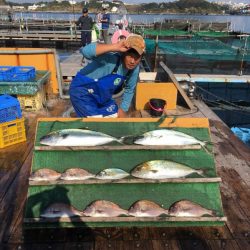 みうら海王 釣果