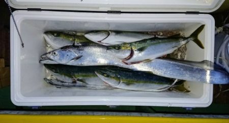 火遠理丸（ほおりまる） 釣果