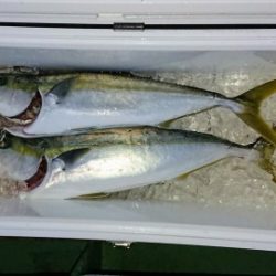 火遠理丸（ほおりまる） 釣果