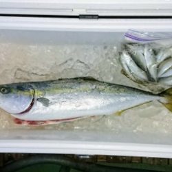 火遠理丸（ほおりまる） 釣果