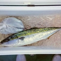 火遠理丸（ほおりまる） 釣果