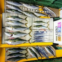 火遠理丸（ほおりまる） 釣果