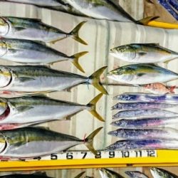 火遠理丸（ほおりまる） 釣果