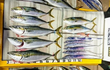 火遠理丸（ほおりまる） 釣果