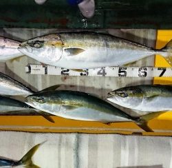 火遠理丸（ほおりまる） 釣果