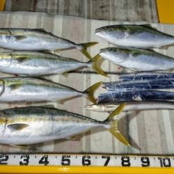 火遠理丸（ほおりまる） 釣果