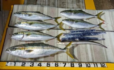 火遠理丸（ほおりまる） 釣果