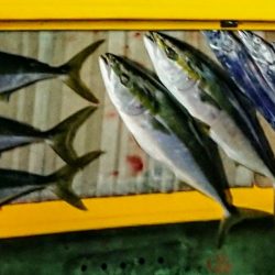 火遠理丸（ほおりまる） 釣果