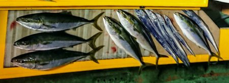 火遠理丸（ほおりまる） 釣果