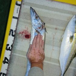 火遠理丸(ほおりまる) 釣果