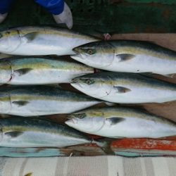 火遠理丸（ほおりまる） 釣果
