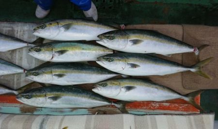 火遠理丸（ほおりまる） 釣果