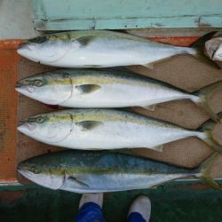 火遠理丸（ほおりまる） 釣果