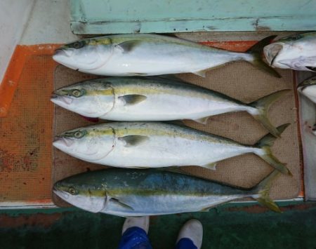 火遠理丸（ほおりまる） 釣果