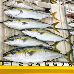 火遠理丸（ほおりまる） 釣果